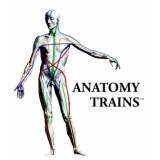 Course in Anatomy Trains for professional Bodyworkers